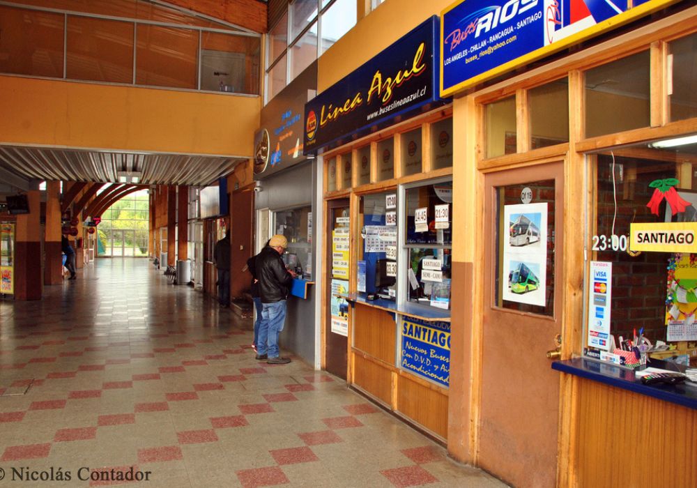 Terminales ANGOL (3)